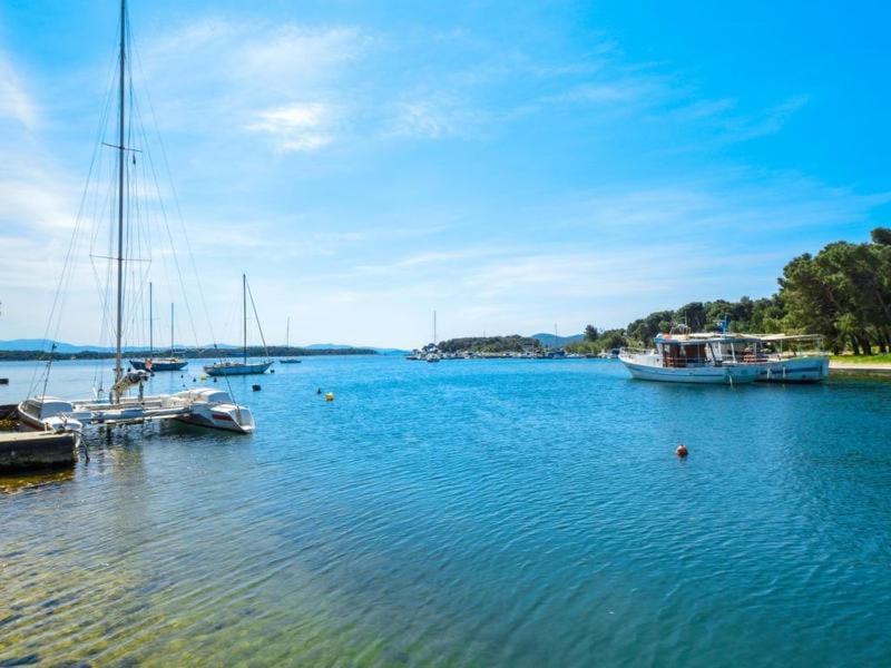 Villa Adriatic Sunrise شيبينيك المظهر الخارجي الصورة